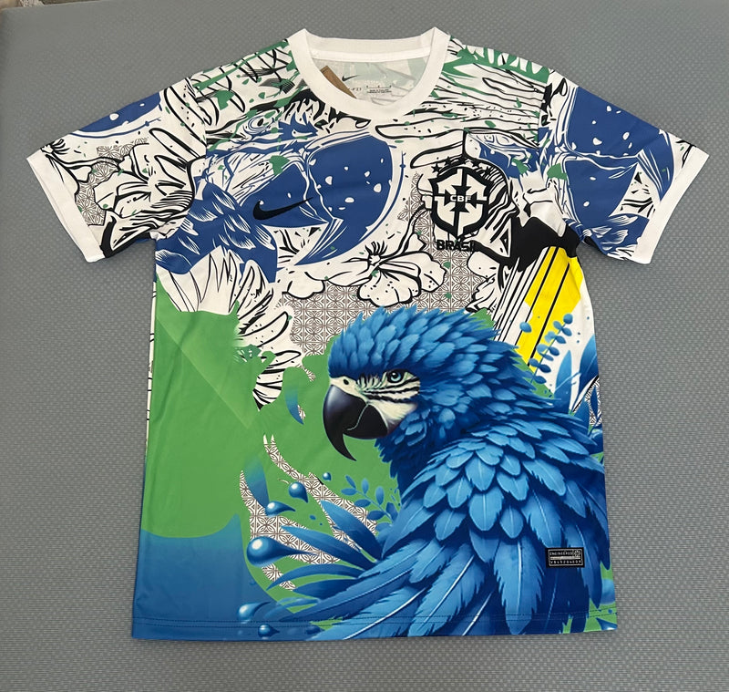 BRASIL CONCEPT 2026 🌀🔘