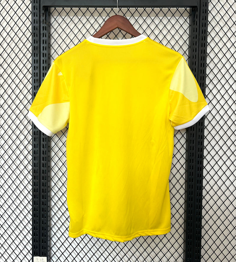 Maillot BRASIL concept 2026