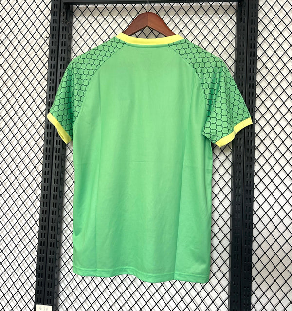 Maillot Japon 2026🍀